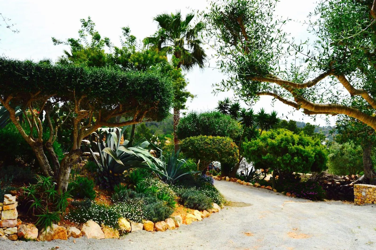 Villa Sun Door - Amazing 6 Bedroom With Private Pool Sant Carles de Peralta